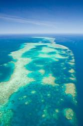 Australia, Cairns, Great Barrier Reef, Elford Reef | Obraz na stenu