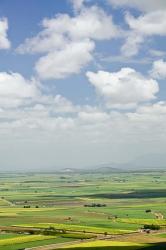 Australia, Queensland, Coastal Plains agriculture | Obraz na stenu