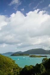 Australia, Whistsunday, Airlie Beach, Shute Harbour | Obraz na stenu