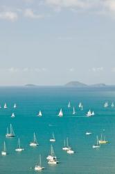 Australia, Queensland, Whitsunday, Airlie, Sailboats | Obraz na stenu