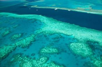 Australia, Whitsunday Coast, Great Barrier Reef (horizontal) | Obraz na stenu