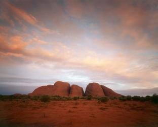 The Olgas, Uluru-Kata Tjuta NP, Northern Territory, Australia | Obraz na stenu