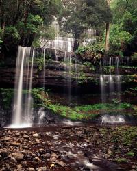 Australia, Tasmania, Mount Field NP, Russell Falls | Obraz na stenu