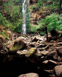 Erskine Falls, Lorne, Victoria, Australia | Obraz na stenu