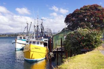 Fishing Boats, Tauranga Harbor, Tauranga, New Zealand | Obraz na stenu