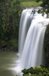 Whangarei Falls, Whangarei, Northland, New Zealand | Obraz na stenu