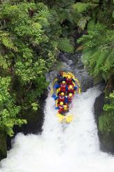 Raft, Tutea's Falls, Okere River, near Rotorua, New Zealand | Obraz na stenu