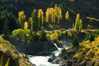 Autumn Colours, Kawarau River, Kawarau Gorge, South Island, New Zealand | Obraz na stenu