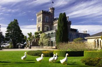 Larnach Castle, Otago Peninsula, Dunedin, South Island, New Zealand | Obraz na stenu