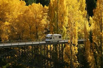 Autumn Colors, Victoria Bridge, Kawarau Gorge, South Island, New Zealand | Obraz na stenu