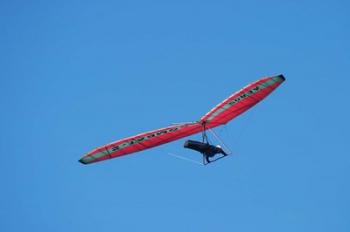 Hang glider, Otago Peninsula, South Island, New Zealand | Obraz na stenu