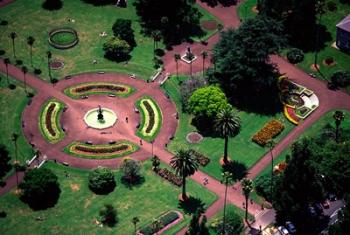 Albert Park and Auckland CBD, New Zealand | Obraz na stenu