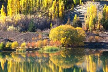 Autumn Colours, Lake Dunstan, Central Otago, New Zealand | Obraz na stenu