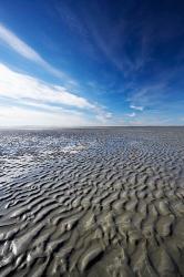 Beach, Doctors Point, South Island, New Zealand (vertical) | Obraz na stenu