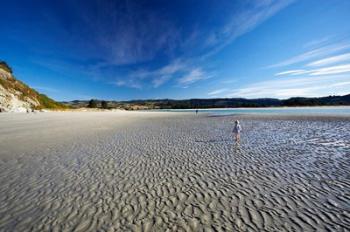 Beach, Doctors Point, South Island, New Zealand (horizontal) | Obraz na stenu