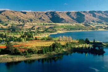 Pisa Range and Lake Dunstan, Central Otago, New Zealand | Obraz na stenu