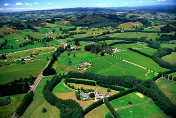 Farmland, Brookby, South Auckland, New Zealand | Obraz na stenu