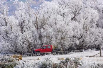 Four Wheel Drive and Hoar Frost, Sutton, Otago, South Island, New Zealand | Obraz na stenu