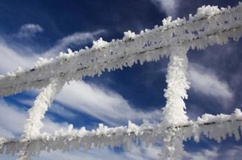 Frosty Wire Fence, Otago, South Island, New Zealand | Obraz na stenu