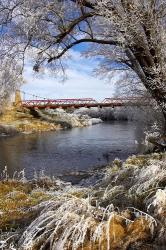 Historic Suspension Bridge, Taieri River, South Island, New Zealand | Obraz na stenu