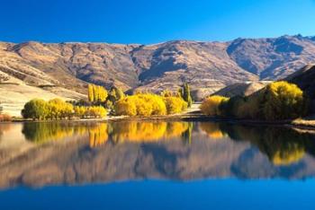 Pisa Range and Lowburn Inlet, Lake Dunstan near Cromwell, Central Otago | Obraz na stenu