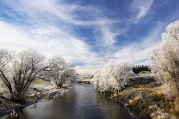 Taieri River, Sutton, Otago, South Island, New Zealand | Obraz na stenu