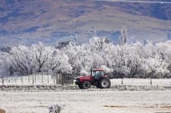 Tractor and Hoar Frost, Sutton, Otago, South Island, New Zealand | Obraz na stenu