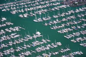 Westhaven Marina, Waitemata Harbor, Auckland | Obraz na stenu