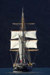 Spirit of New Zealand Tall Ship, Marlborough Sounds, South Island, New Zealand | Obraz na stenu