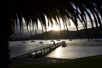 Waikawa Bay, near Picton, Marlborough Sounds, South Island, New Zealand | Obraz na stenu