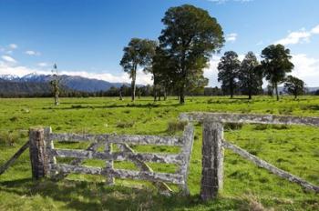 Gate and Farmland near Fox Glacier, West Coast, South Island, New Zealand | Obraz na stenu