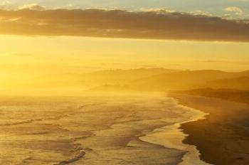 Coast South of Dunedin, South Island, New Zealand | Obraz na stenu