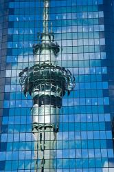 Skytower, Modern Building, Auckland, New Zealand | Obraz na stenu