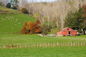 Wool Shed and Farmland, Kawhatau Valley, Rangitikei, North Island, New Zealand | Obraz na stenu