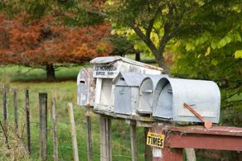 Letterboxes, King Country, North Island, New Zealand | Obraz na stenu