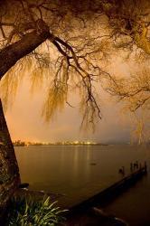 City Lights across Lake Rotorua, Rotorua, Bay of Plenty, North Island, New Zealand | Obraz na stenu