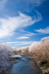 Manuherikia River and Hoar Frost, Ophir, Central Otago, South Island, New Zealand | Obraz na stenu