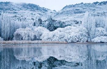 Reflections and Hoar Frost, Butchers Dam, near Alexandra, Central Otago, South Island, New Zealand | Obraz na stenu