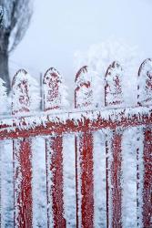 Frost on Gate, Mitchell's Cottage and Hoar Frost, Fruitlands, near Alexandra, Central Otago, South Island, New Zealand | Obraz na stenu