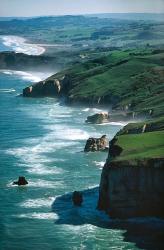 Dunedin Coast near Tunnel Beach, New Zealand | Obraz na stenu