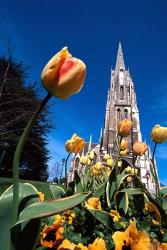 First Church, Dunedin, New Zealand | Obraz na stenu