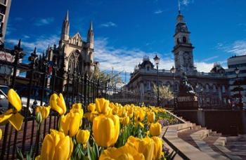 Municipal Chambers and St Pauls, Octagon, Dunedin, New Zealand | Obraz na stenu