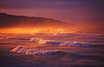 St Clair Beach, Dunedin, New Zealand | Obraz na stenu