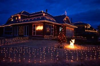 Christmas Lights, Waldronville, Dunedin, New Zealand | Obraz na stenu