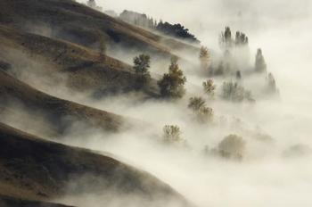 Te Mata Peak, Hawkes Bay, North Island, New Zealand | Obraz na stenu