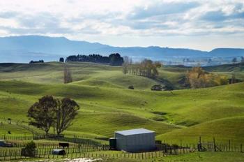 Farmland, Napier, Taihape Road, Hawkes Bay, North Island, New Zealand | Obraz na stenu