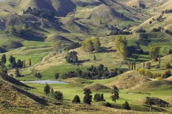 Farmland near Bells Junction, Rangitikei District, Central North Island, New Zealand | Obraz na stenu