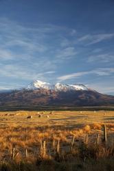 Farm Scene, Mt Ruapehu, North Island, New Zealand | Obraz na stenu