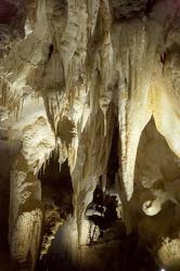 Stalactites, Ruakuri Caves, North Island, New Zealand | Obraz na stenu
