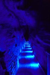 Blue Lights, Ruakuri Caves, North Island, New Zealand | Obraz na stenu